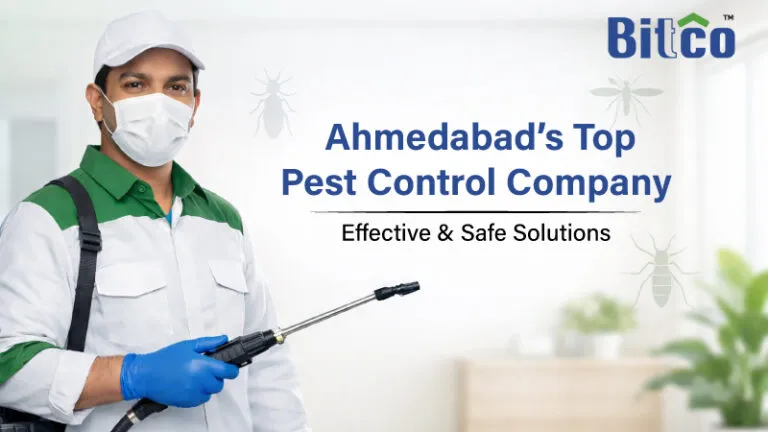 Ahmedabad's Top Pest Control Company | Effective & Safe Solutions