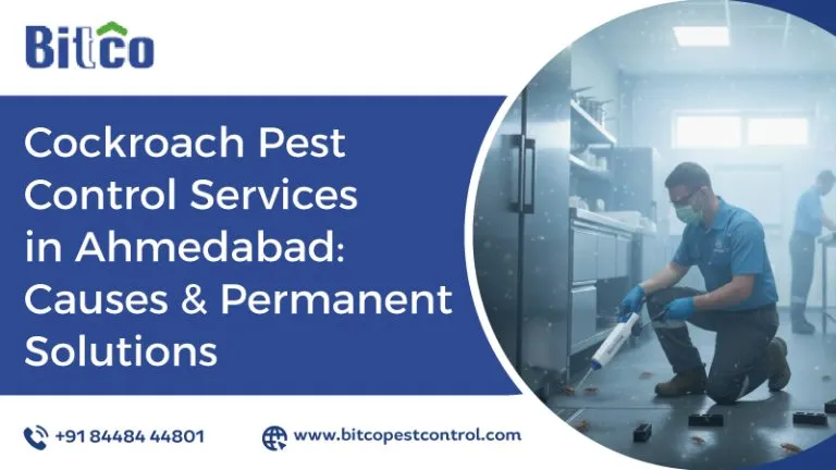 Cockroach Pest Control Services in Ahmedabad: Causes and Permanent Solutions