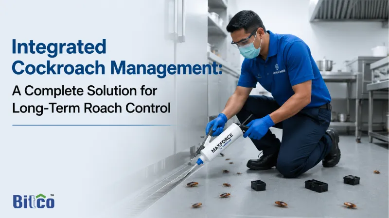 Integrated Cockroach Management: A Complete Solution for Long-Term Roach Control