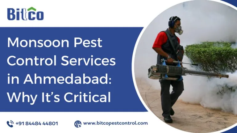 Monsoon Pest Control Services in Ahmedabad: Why It's Critical