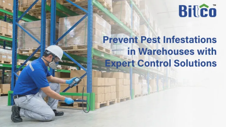 Prevent Pest Infestations in Warehouses with Expert Control Solutions