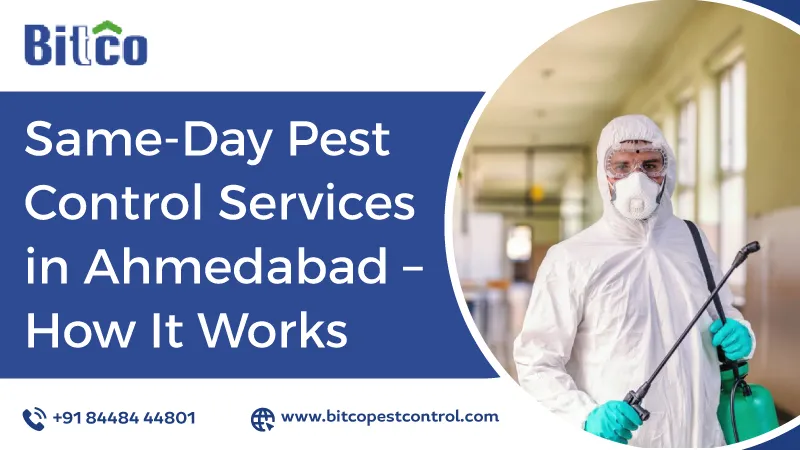 Same-Day Pest Control Services in Ahmedabad - How It Works