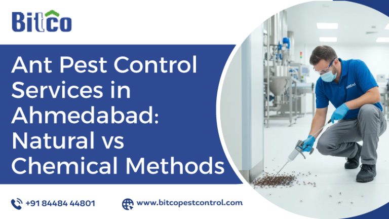 Ant Pest Control Services in Ahmedabad: Natural vs Chemical Methods