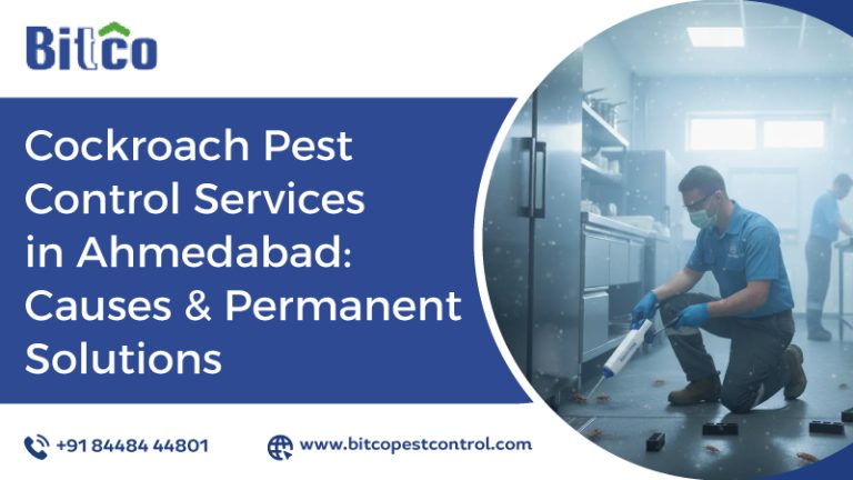 Cockroach Pest Control Services in Ahmedabad: Causes and Permanent Solutions