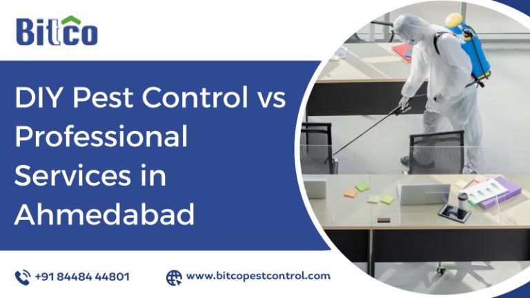DIY Pest Control vs Professional Services in Ahmedabad