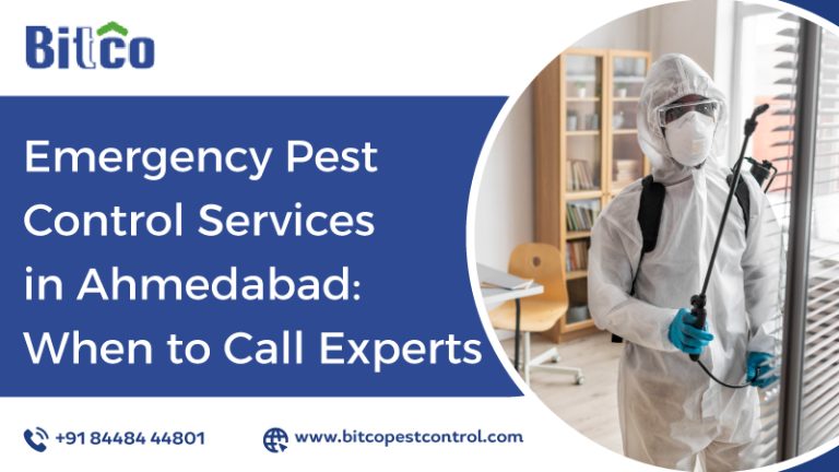 Emergency Pest Control Services in Ahmedabad: When to Call Experts