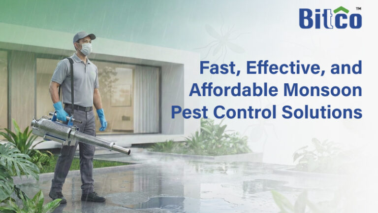 Fast, Effective, and Affordable Monsoon Pest Control Solutions