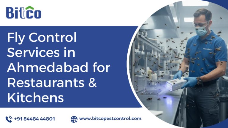 Fly Control Services in Ahmedabad for Restaurants & Kitchens