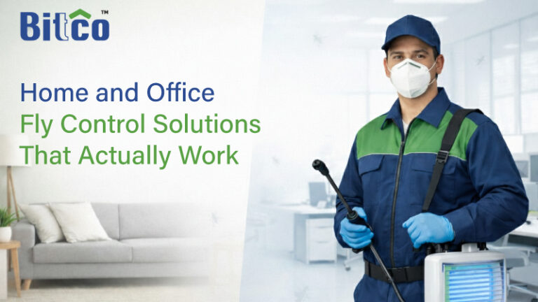 Home and Office Fly Control Solutions That Actually Work