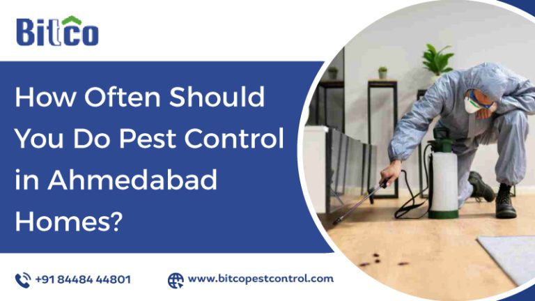 How Often Should You Do Pest Control in Ahmedabad Homes?