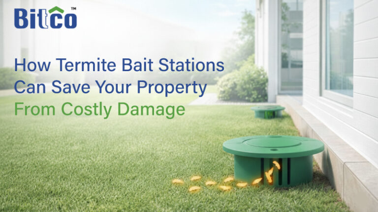How Termite Bait Stations Can Save Your Property From Costly Damage