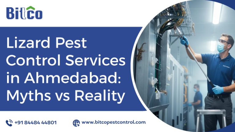 Lizard Pest Control Services in Ahmedabad: Myths vs Reality