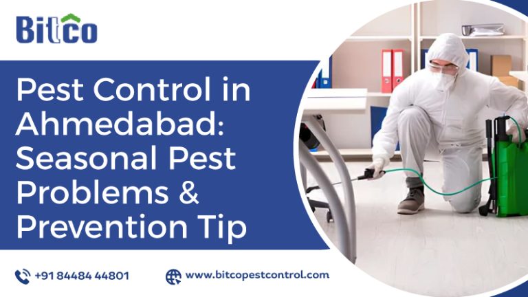 Pest Control in Ahmedabad: Seasonal Pest Problems & Prevention Tips