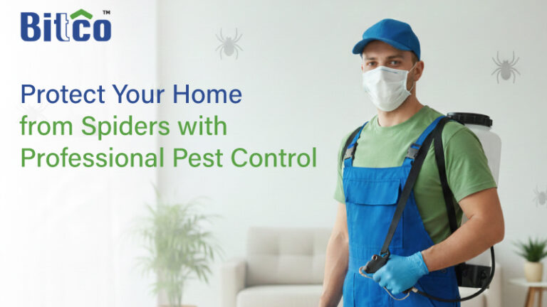 Protect Your Home from Spiders with Professional Pest Control
