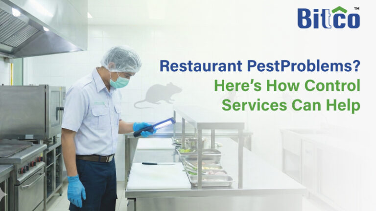 Restaurant Pest Problems? Here’s How Control Services Can Help