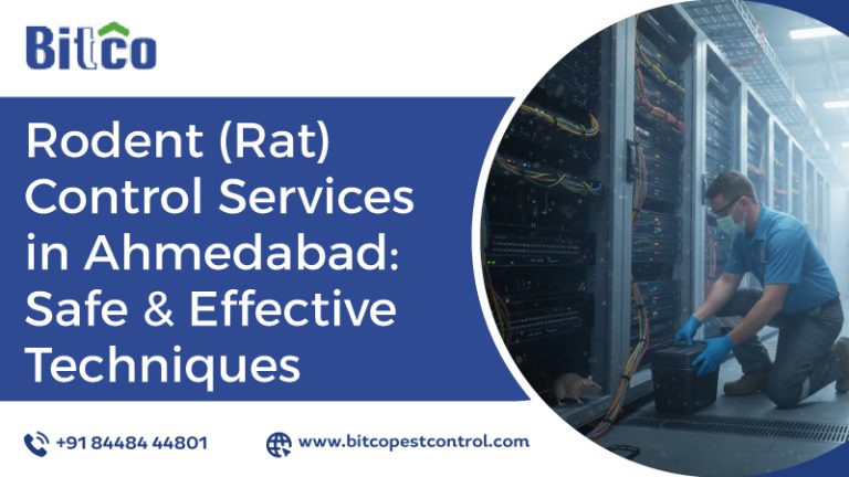 Rodent (Rat) Control Services in Ahmedabad: Safe & Effective Techniques