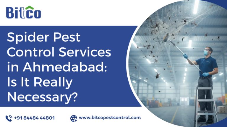 Spider Pest Control Services in Ahmedabad: Is It Really Necessary?