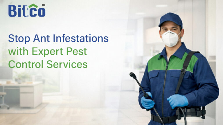 Stop Ant Infestations with Expert Pest Control Services