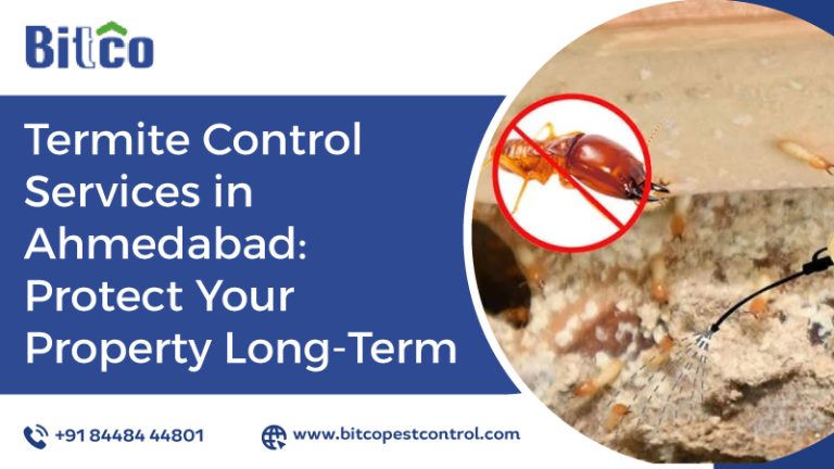 Termite Control Services in Ahmedabad: Protect Your Property Long-Term