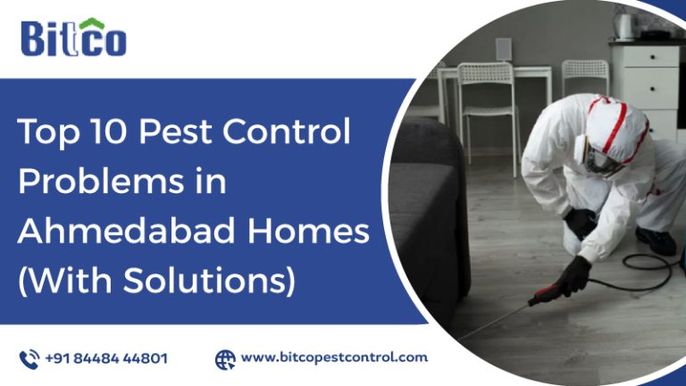 Top 10 Pest Control Problems in Ahmedabad Homes (With Solutions)