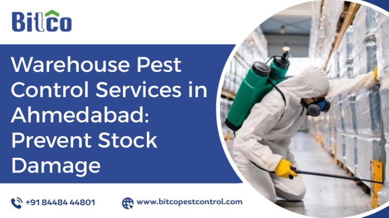 Warehouse Pest Control Services in Ahmedabad: Prevent Stock Damage