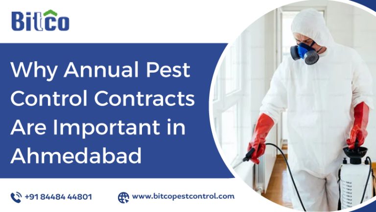 Why Annual Pest Control Contracts Are Important in Ahmedabad