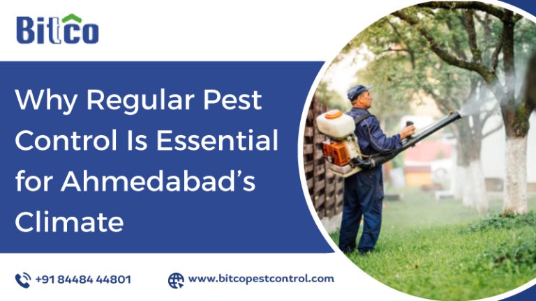 Why Regular Pest Control Is Essential for Ahmedabad’s Climate