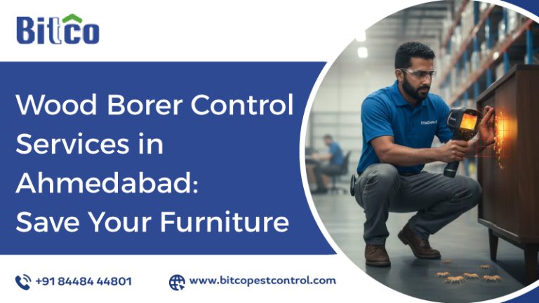Wood Borer Control Services in Ahmedabad: Save Your Furniture