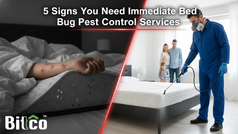 5 Signs You Need Immediate Bed Bug Pest Control Services