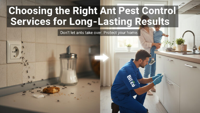 Choosing the Right Ant Pest Control Services for Long-Lasting Results