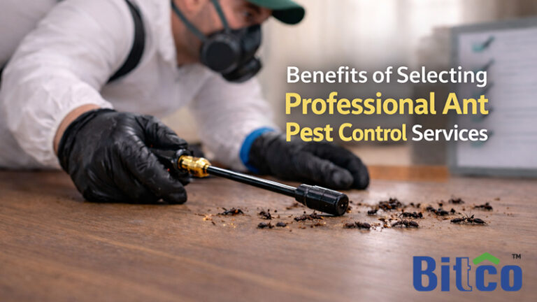 Benefits of Selecting Professional Ant Pest Control Services