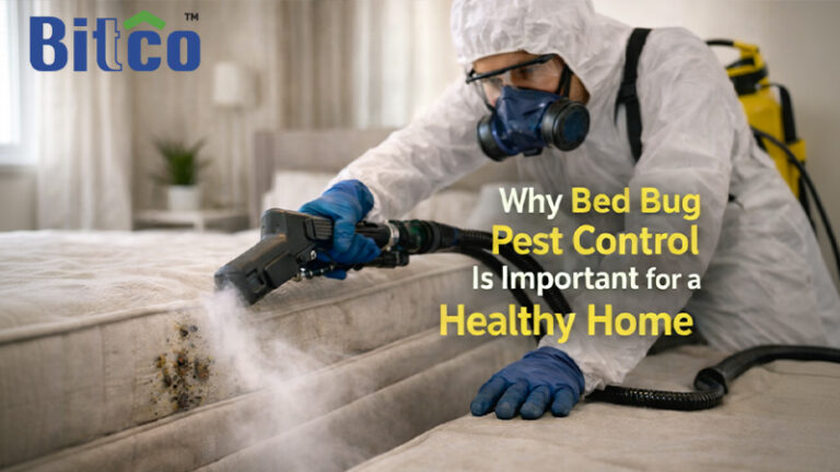 Why Bed Bug Pest Control Is Important for a Healthy Home