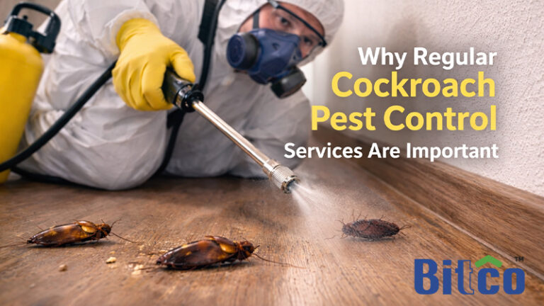 Why Regular Cockroach Pest Control Services Are Important